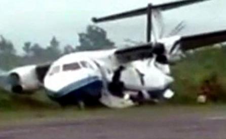 Un căţel, vinovat de aterizarea în tufişuri a unui avion (Video) 