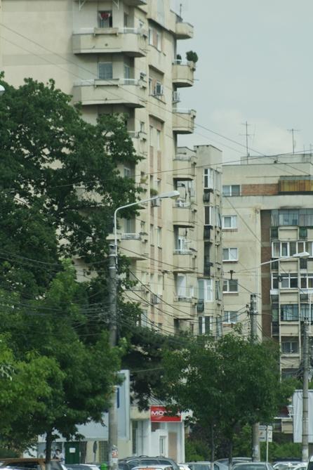 Liviu Luca, lup păstor la oi 18373253