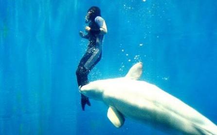 O scufundătoare a fost salvată de la înec de o balenă