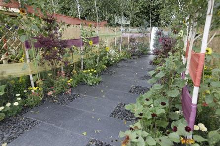 O grădină colorată în orice anotimp cu buget redus şi uşor de întreţinut 