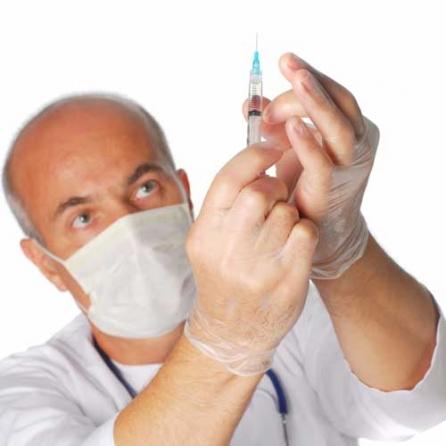Gripa porcină: Primele vaccinuri