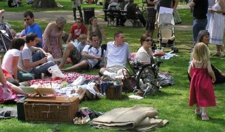 Legea picnicului dă de lucru Ministerului Mediului