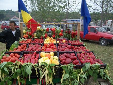 Concursuri culinare la Parada Gospodarilor 18379611