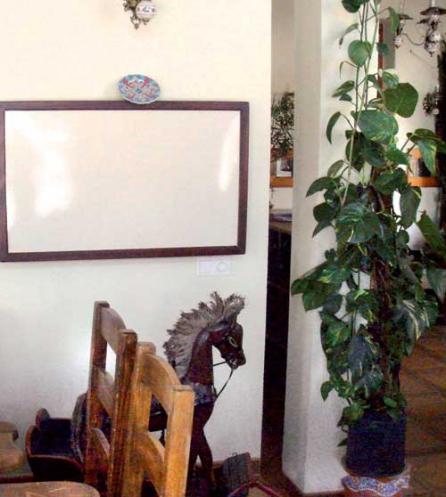 Panourile radiante cu infraroşu, un nou progres tehnologic 18381428