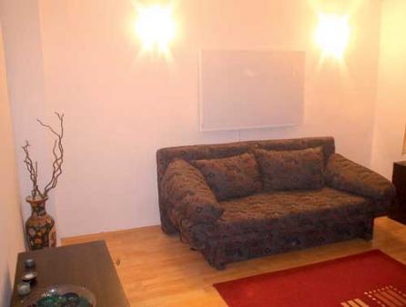 Panourile radiante cu infraroşu, un nou progres tehnologic 18381430