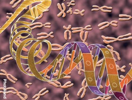 Cercetătorii au descoperit gena care te ajută să trăieşti 100 de ani