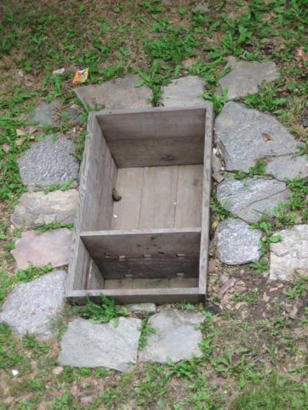 Regatul Bhutan 18384378