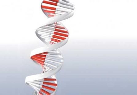 Nanoparticule şi modificări genetice