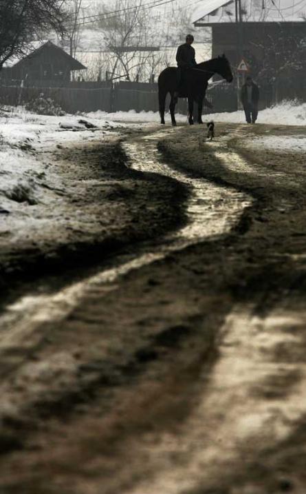 Bobotează 2010 18386417