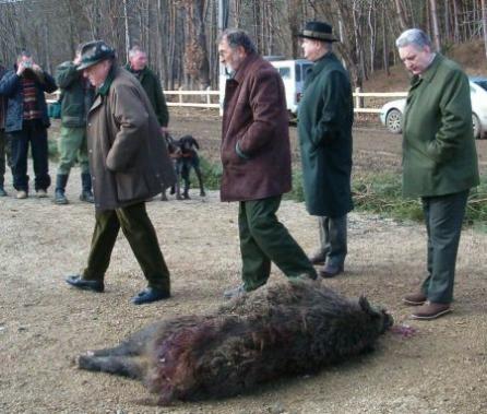 Ion Ţiriac organizează o nouă vânătoare la Balc