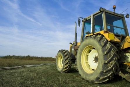 75% din fermele româneşti ar putea falimenta în 2010
