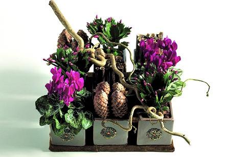 Flori minunate pentru sărbătorile de iarnă 18386648