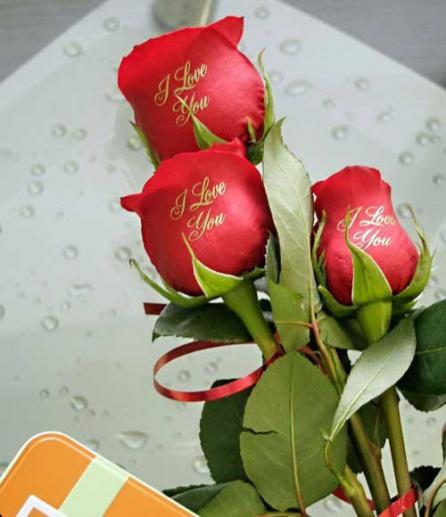 Texte şi imagini imprimate pe flori naturale, cu o tehnologie bazată pe laser! 18392464