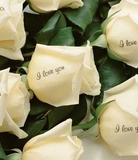 Texte şi imagini imprimate pe flori naturale, cu o tehnologie bazată pe laser! 18392465