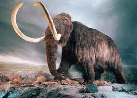 Daily Mail: Oamenii de ştiinţă au clonat sânge de mamut