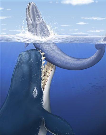 Behemoth-ul mărilor era o balenă ce manca alte balene