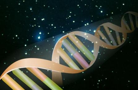 Cercetătorii au descoperit genele care indică cine trăieşte 100 de ani