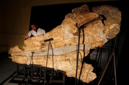 Fosila unui monstru marin, descoperită în Peru