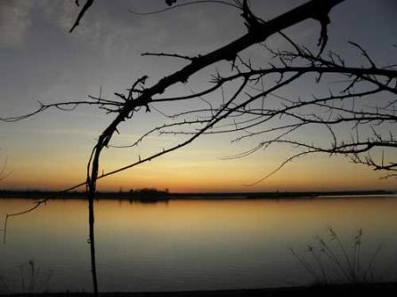 Românii din Timocul bulgăresc şi hora morţilor 18400236