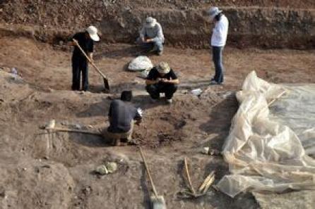 Importantă descoperire arheologică în Brazilia