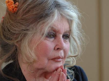 Brigitte Bardot: Carla Bruni este o needucată
