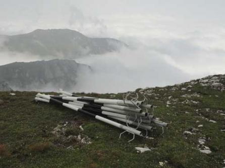 Elena Udrea "împădureşte" munţii cu mii de stâlpi din fier