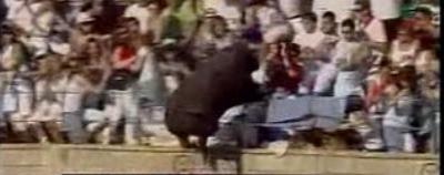 Un taur a făcut 40 de victime în timpul unei coride spaniole