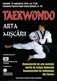 Demonstraţie de Taekwondo în Giuleşti