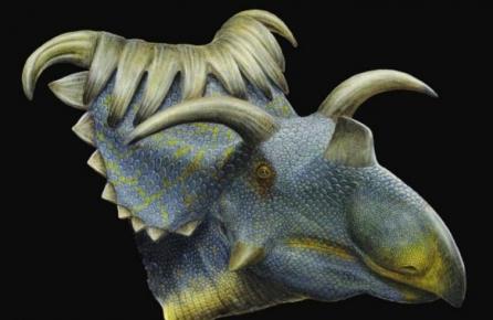 Dinozaur cu 15 coarne, descoperit în SUA