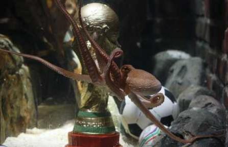 Caracatiţa Paul, oracolul Cupei Mondiale din acest an, a murit!