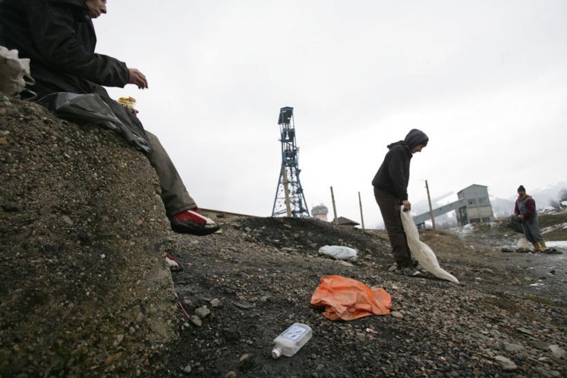 "Cărbunarii" – corbi pe hoitul de cărbune 18411041