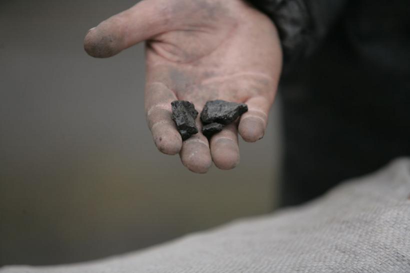 "Cărbunarii" – corbi pe hoitul de cărbune 18411044