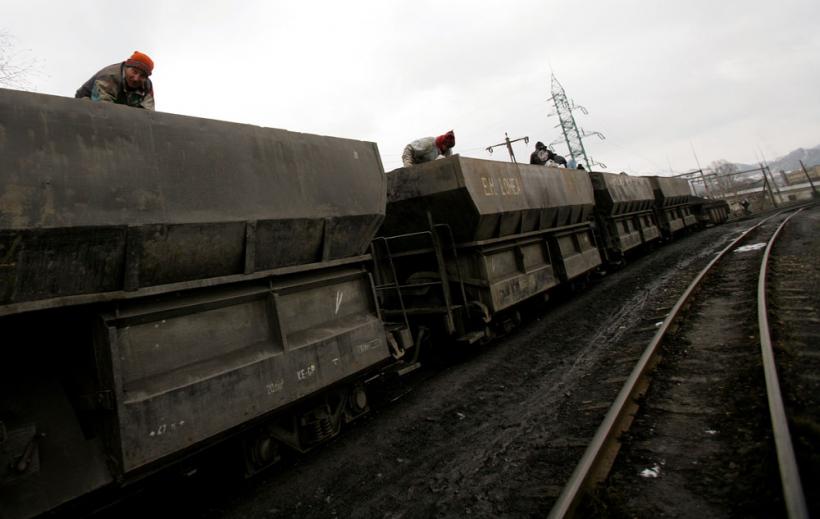 "Cărbunarii" – corbi pe hoitul de cărbune 18411045