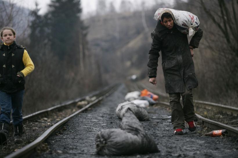 "Cărbunarii" – corbi pe hoitul de cărbune 18411046