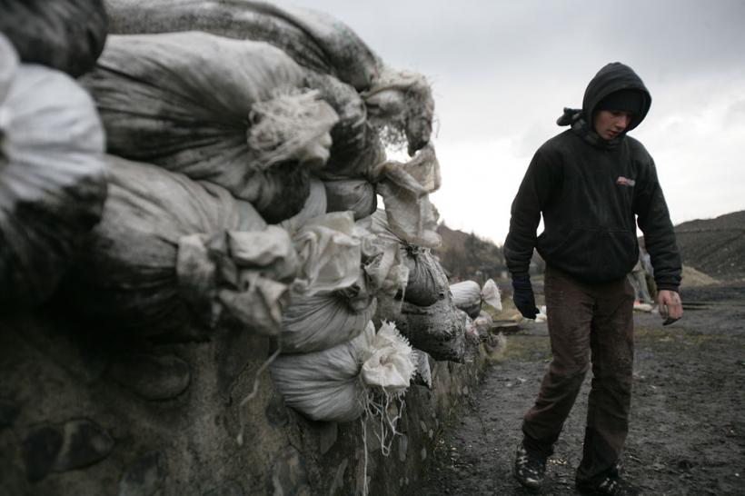 "Cărbunarii" – corbi pe hoitul de cărbune 18411047