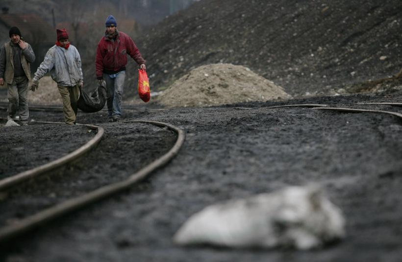 "Cărbunarii" – corbi pe hoitul de cărbune 18411048