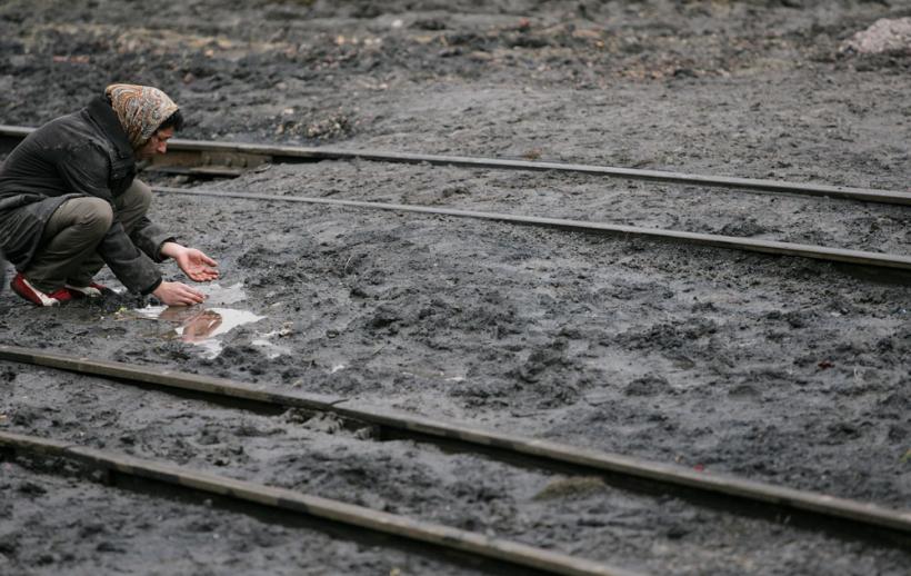 "Cărbunarii" – corbi pe hoitul de cărbune 18411051