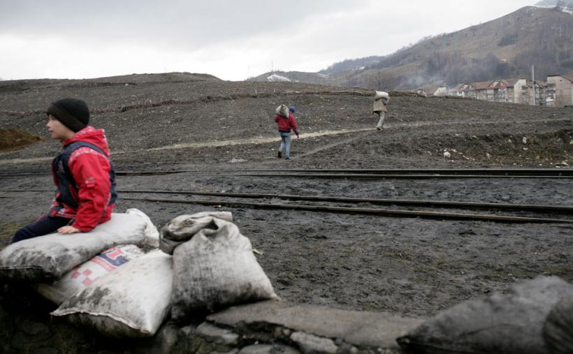 "Cărbunarii" – corbi pe hoitul de cărbune 18411052