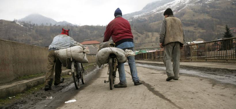 "Cărbunarii" – corbi pe hoitul de cărbune 18411054