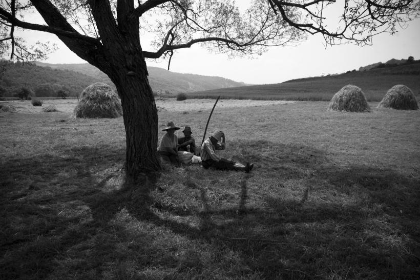 Crişani, satul pălăriilor 18411248