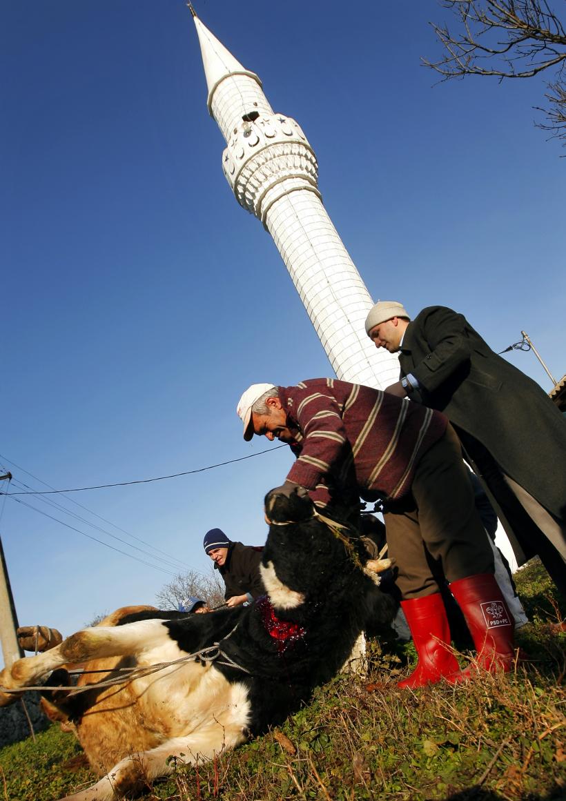 Eid Mubarak! 18411233