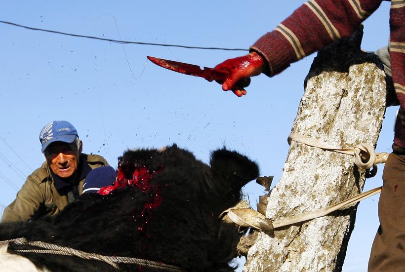 Eid Mubarak! 18411234