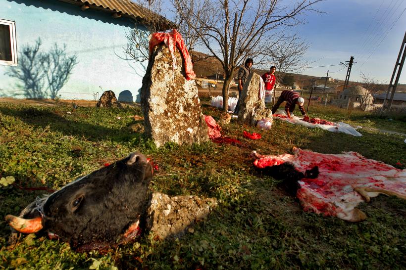 Eid Mubarak! 18411236