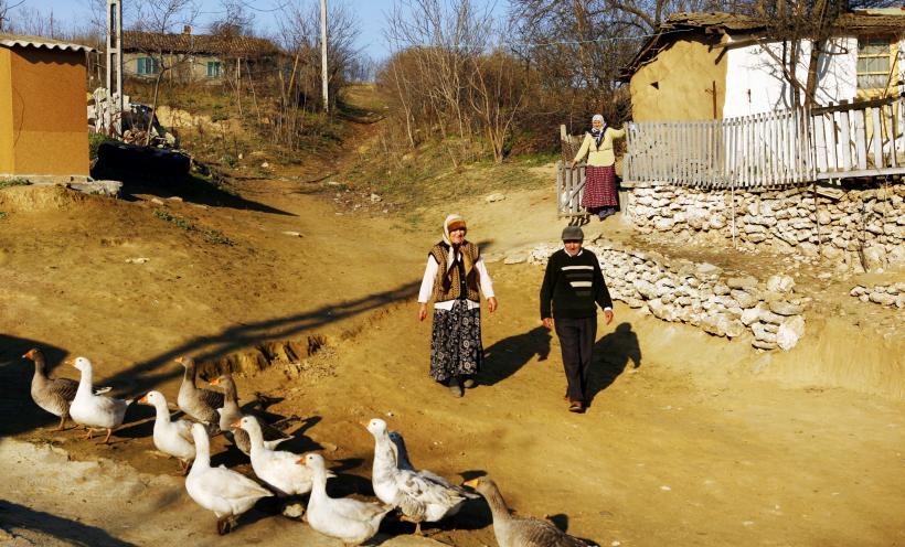 Eid Mubarak! 18411238