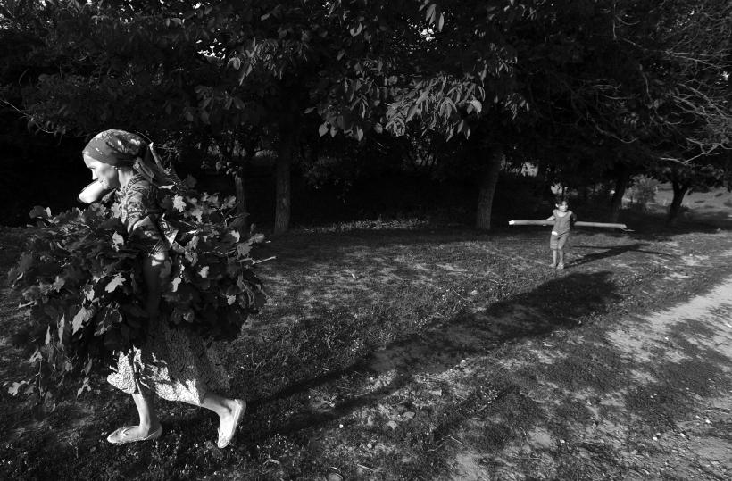 Republica Moldova - Fragila democraţie 18411269