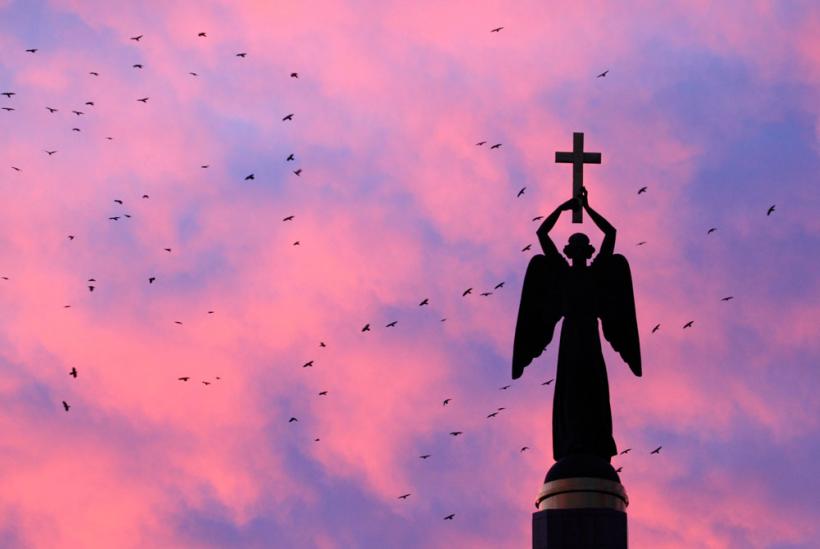 Se poarta rosu 18411068