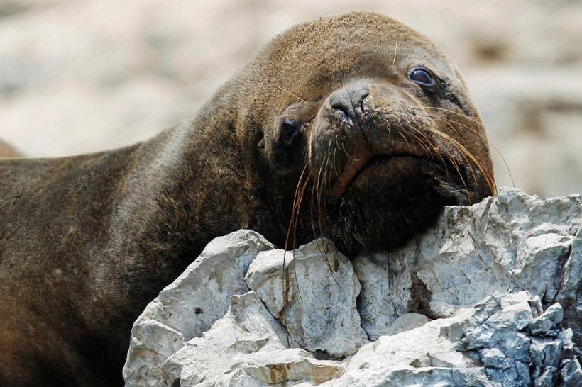 Suntem atat de diferiţi! Inca e bine 18411104