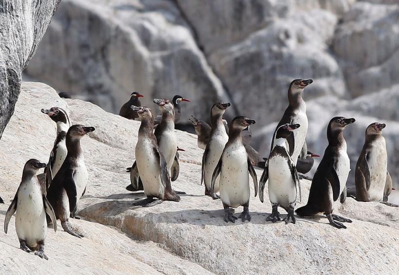 Suntem atat de diferiţi! Inca e bine 18411105