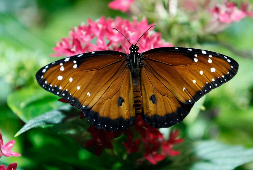 Suntem atat de diferiţi! Inca e bine 18411107