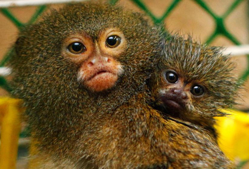 Suntem atat de diferiţi! Inca e bine 18411110